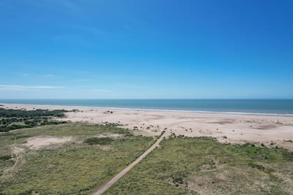 La playa: entre bosque, dunas y mar.
