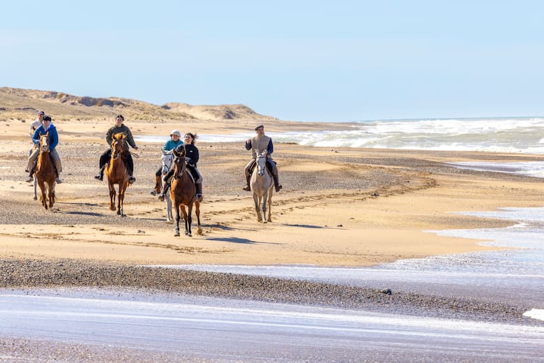 caballo