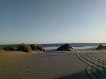 La playa, vista desde un médano; Pehuén-Có es una villa balnearia ubicada en el Partido de Coronel de Marina Leonardo Rosales, y se halla a 68 kilómetros al sudeste de Punta Alta, que es la ciudad cabecera del partido, y a unos 85 km hacia el sudeste de la ciudad de Bahía Blanca