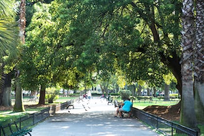 La Plaza Arenales es el gran pulmón verde de Villa Devoto.