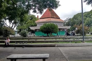 Abandonaron a un niño con síndrome de Down en una plaza de Santa Fe: la policía detuvo a su madre