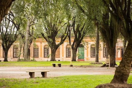 La Plaza Manuel Belgrano tiene árboles bellísimos y muy variados.