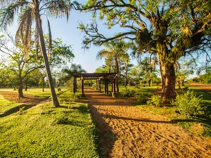 La plaza principal actualmente está siendo remodelada, incorporando más senderos, materas, áreas de descanso y vegetación para atraer a nuestra variedad de aves, mariposas, picaflores e insectos.
