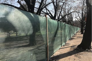 La contundente reacción de vecinos de La Plata contra obras previstas en tres de sus plazas principales