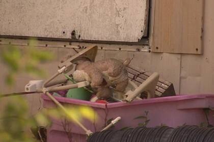 La policía acudió a la casa de los Grabowski por una denuncia anónima que decía que había "movimientos sospechosos en su casa"