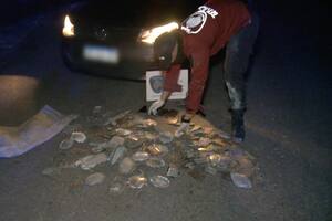 La Policía de la Ciudad, detuvo una banda que robaba piezas de broce en el cementerio de La Chacarita