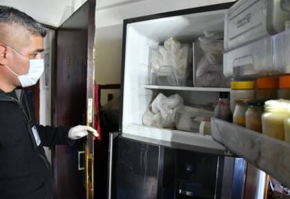 La policía de la Ciudad realizó un allanamiento en Villa Crespo y se encontró con 17 gatos en estado de hacinamiento; otros 7 fueron encontrados muertos en una heladera