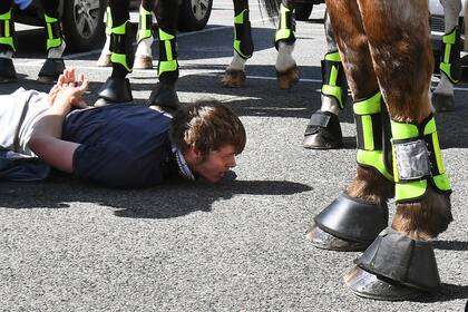 La policía detiene a un manifestante antibloqueo en el mercado Queen Victoria de Melbourne durante un mitin el 13 de septiembre de 2020, en medio de la pandemia de coronavirus