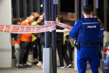 La Policía detuvo al hombre sospechoso de los ataques