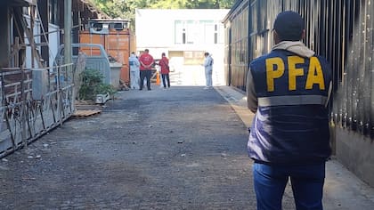 La Policía Federal en el sitio donde fue encontrado el cuerpo de una beba de dos meses, en la Facultad de Arquitectura de La Plata