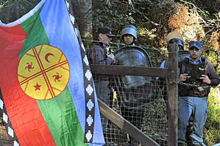 Un grupo mapuche ocupó un predio de Manu Ginóbili para evitar un desmonte