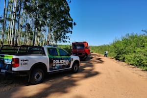 En Corrientes, los productores denuncian un circuito organizado de robo de ganado