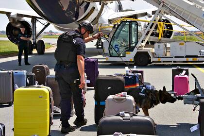 La policía serbia inspecciona los equipajes del avión de Lufthansa en el aeropuerto de Belgrado