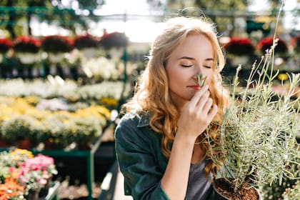La Poliposis Nasal es una enfermedad que también causa la pérdida del olfato