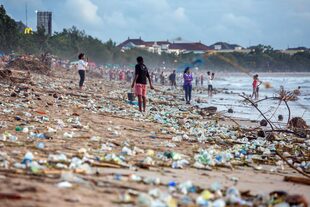 La polución por plásticos se multiplicó por diez desde 1980