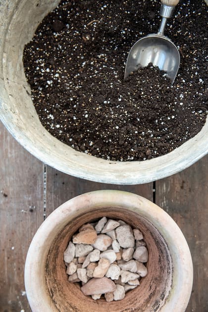 La pometina es una roca volcánica natural ultraliviana ideal para poner antes de la tierra