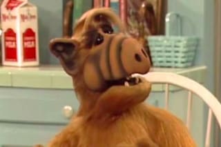 Las lecciones de Alf, un extraterrestre varado en la Tierra y en cuarentena
