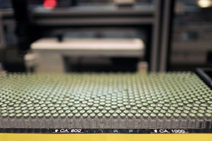 La popularidad de los medicamentos inhibidores del GLP-1 los hace uno de los medicamentos más exitosos de la historia.