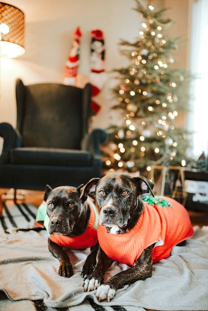 La popularidad del ugly sweater creció gracias a una película (Unsplash)