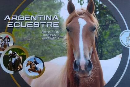 La portada de "Argentina Ecuestre", la muestra para homenajear al caballo que próximamente llegará al público
