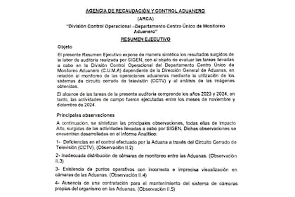 La portada del informe al que accedió LA NACION