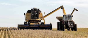 En Chicago, la soja cayó a los valores más bajos en siete semanas y el mercado local sigue sin reacción