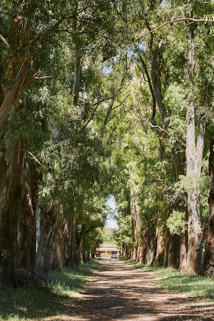 La Posta del Camino Real es un predio de 400 metros de parque con un casco de principios de siglo XX que ofrece pasar el día, comer y descansar
