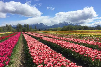 La postal de Trevelin, en Chubut, un espectáculo único.