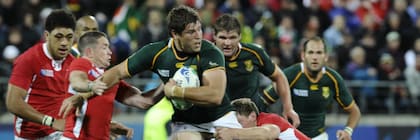 La postal del único choque entre ambos en Mundiales: en la zona de grupos en 2011, los Springboks ganaron 17-16