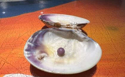 La preciosa perla que encontró