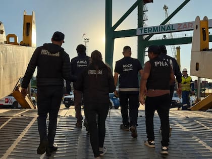 La Prefectura Naval y personal de la ARCA secuestraron 16 kilos de cocaína en Zárate