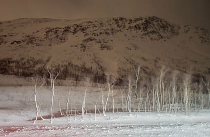 “La pregunta principal es la calidad de esta vida, cómo estamos usando nuestro tiempo. ¿Qué estamos haciendo? ¿Qué hemos hecho?”, se pregunta