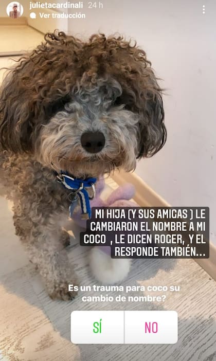 La pregunta que hizo Julieta Cardinali en su cuenta de Instagram