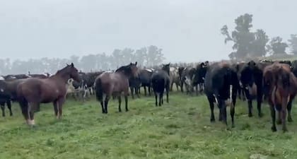 La preocupación crece ante la posibilidad de nuevas precipitaciones. “Si esto queda acá complica un poco, pero si sigue lloviendo ahí sí se va a complejizar mucho más”, advirtió Enriquez