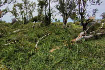 La preocupación crece también por la masa de agua que entra desde Daireaux y Guaminí, donde las lluvias fueron igual de intensas