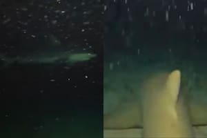 Dejó caer su GoPro al medio del océano y lo que revelaron las imágenes lo dejó aterrado