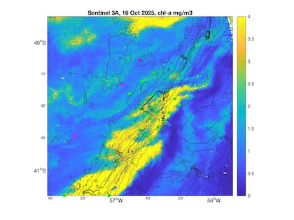 La presencia del fitoplancton a lo largo del frente maritimo argentino