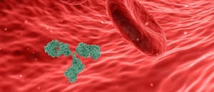 Cuál es la proteína que sería la clave para lograr la longevidad