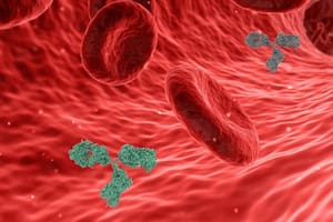 La presencia en sangre va descendiendo con la edad y se relaciona con la aparición de numerosas enfermedades propias de la vejez (Foto ilustrativa: PIXABAY)