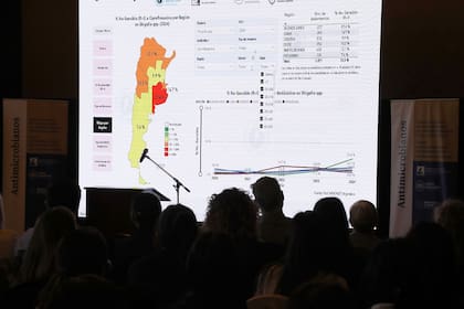 La presentación del informe
