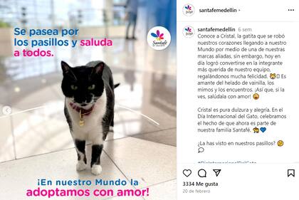 La presentación del centro comercial