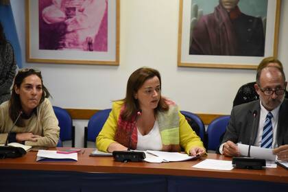 La presidenta de la comisión de Legislación General, Cecilia Moreau.