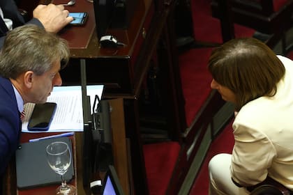 La presidenta del bloque de LLA, Patricia Bullrich, con el senador radical Eduardo Vischi