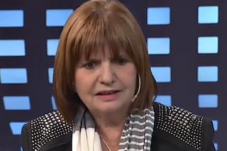 La metáfora crítica que usó Bullrich para explicar el desembarco de Sergio Massa