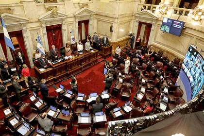 La presidenta del Senado, Cristina Kirchner, abrió la sesión especial, con la izamiento de la bandera por parte de la legisladora Nancy González