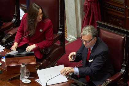 La presidenta del Senado, Victoria Villarruel y Emilio Viramonte Olmos la sesión en que se cayó la ficha limpia
