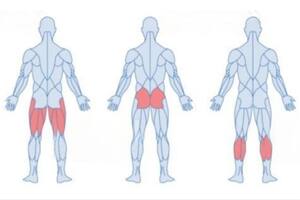 La prestigiosa universidad recuerda que no se requiere un gimnasio para mantenerse saludable