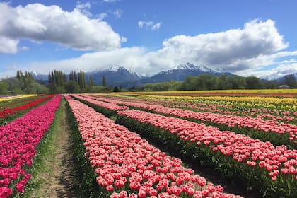La primavera comienza el 21 de septiembre