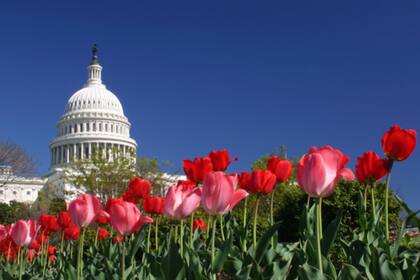 La primavera de 2025 traerá un clima más cálido de lo habitual en la mayoría del territorio de EE.UU., según The Old Farmer’s Almanac