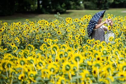 La primavera empieza el 21 de septiembre